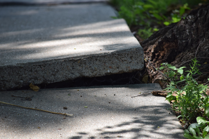 cracked sidewalk 