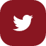 Twitter logo