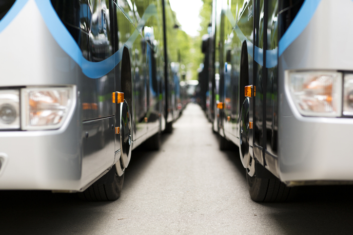 two busses side by side from the front.