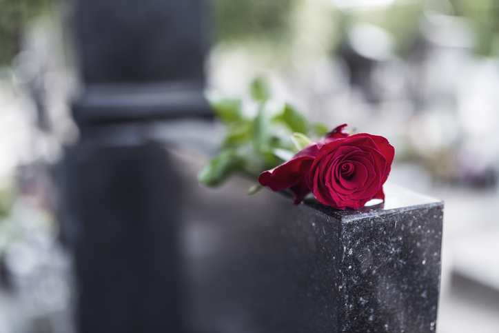 red rose on a grave. 