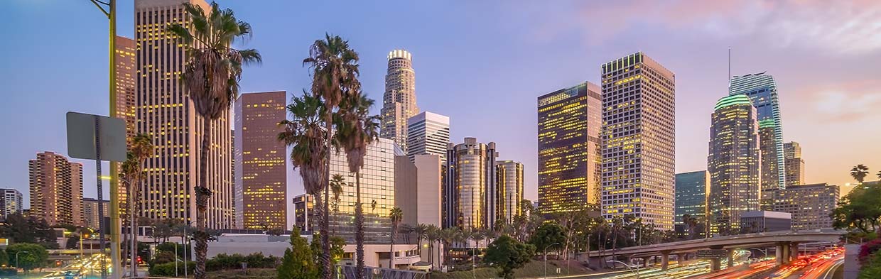 Salamati Law - Los Angeles