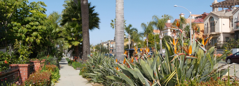 Sidewalk in a suburban Los Angeles neighborhood